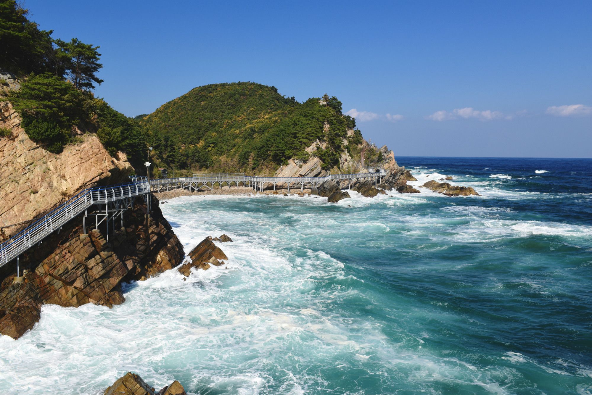 Gangneung One Day Tour