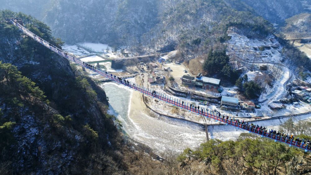 Wonju Suspension Bridge One Day Tour (Nov - Feb)