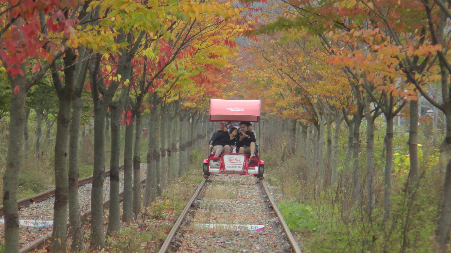 Nami Island + Petite France + Gangchon Rail Bike One Day Tour