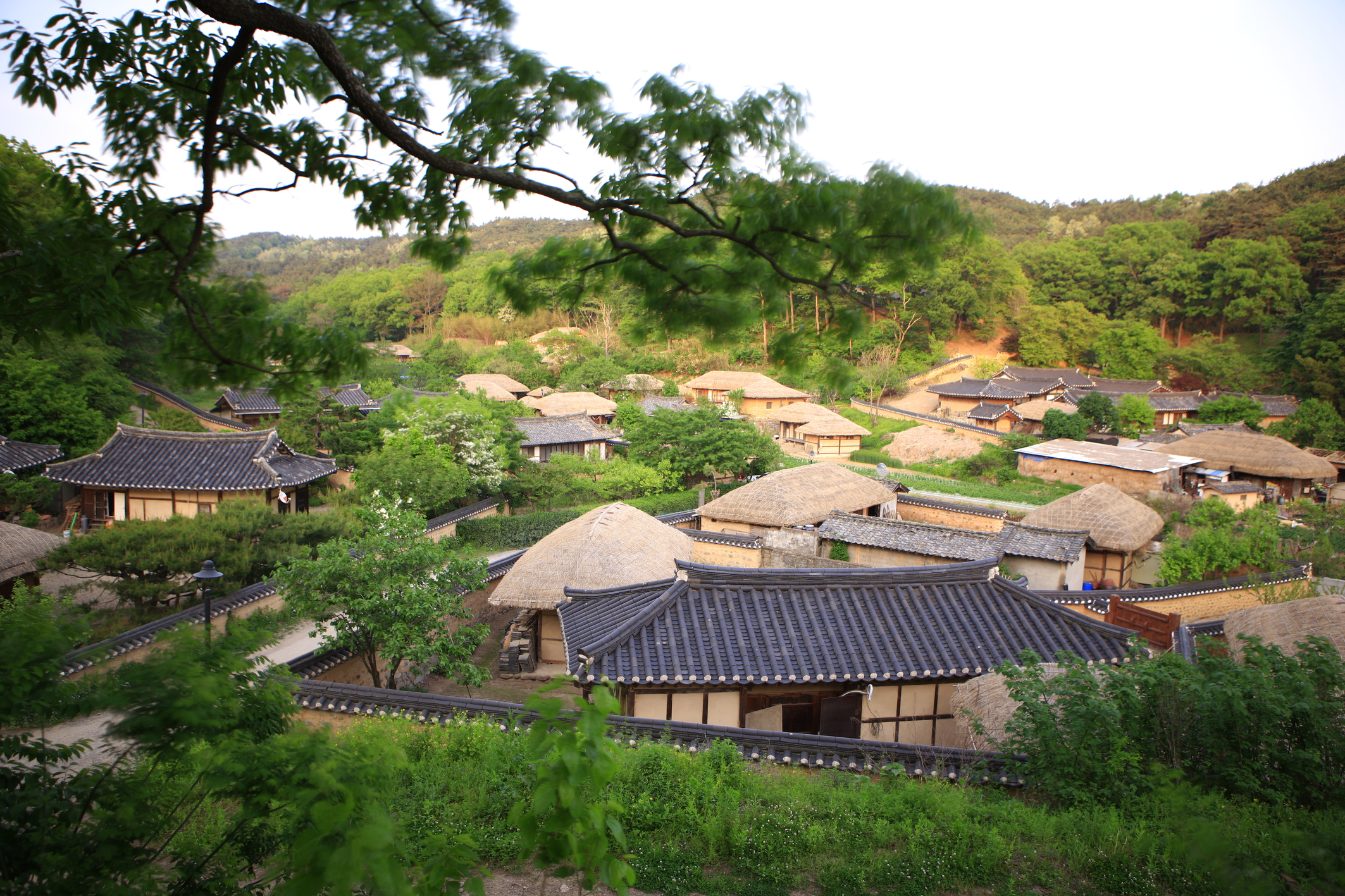 (Apr - Sep) Gyeongju UNESCO World Heritage One Day Tour - Depart from Busan