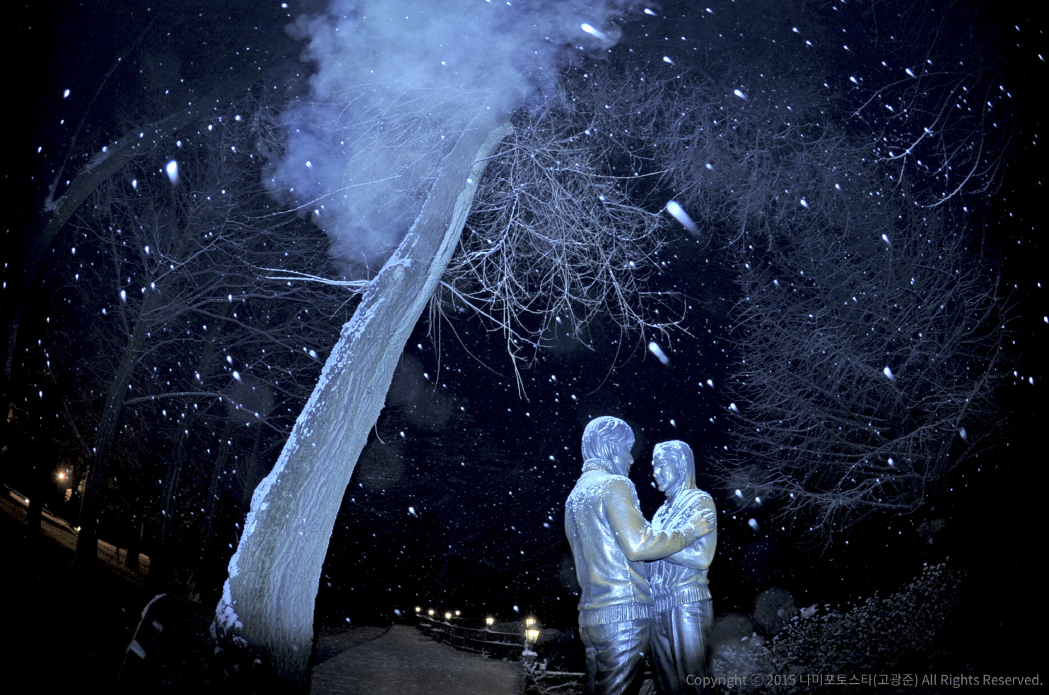(Winter) Nami Island + Petite France + The Garden of Morning Calm One Day Tour