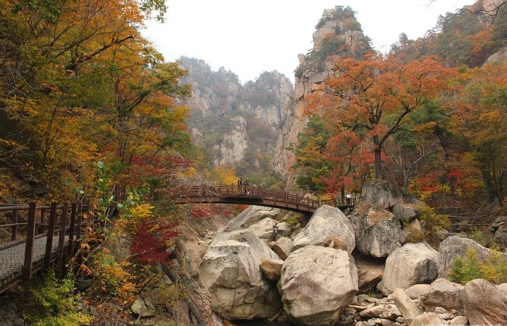 (Autumn) Breathtaking Seoraksan National Park Foliage One Day Tour