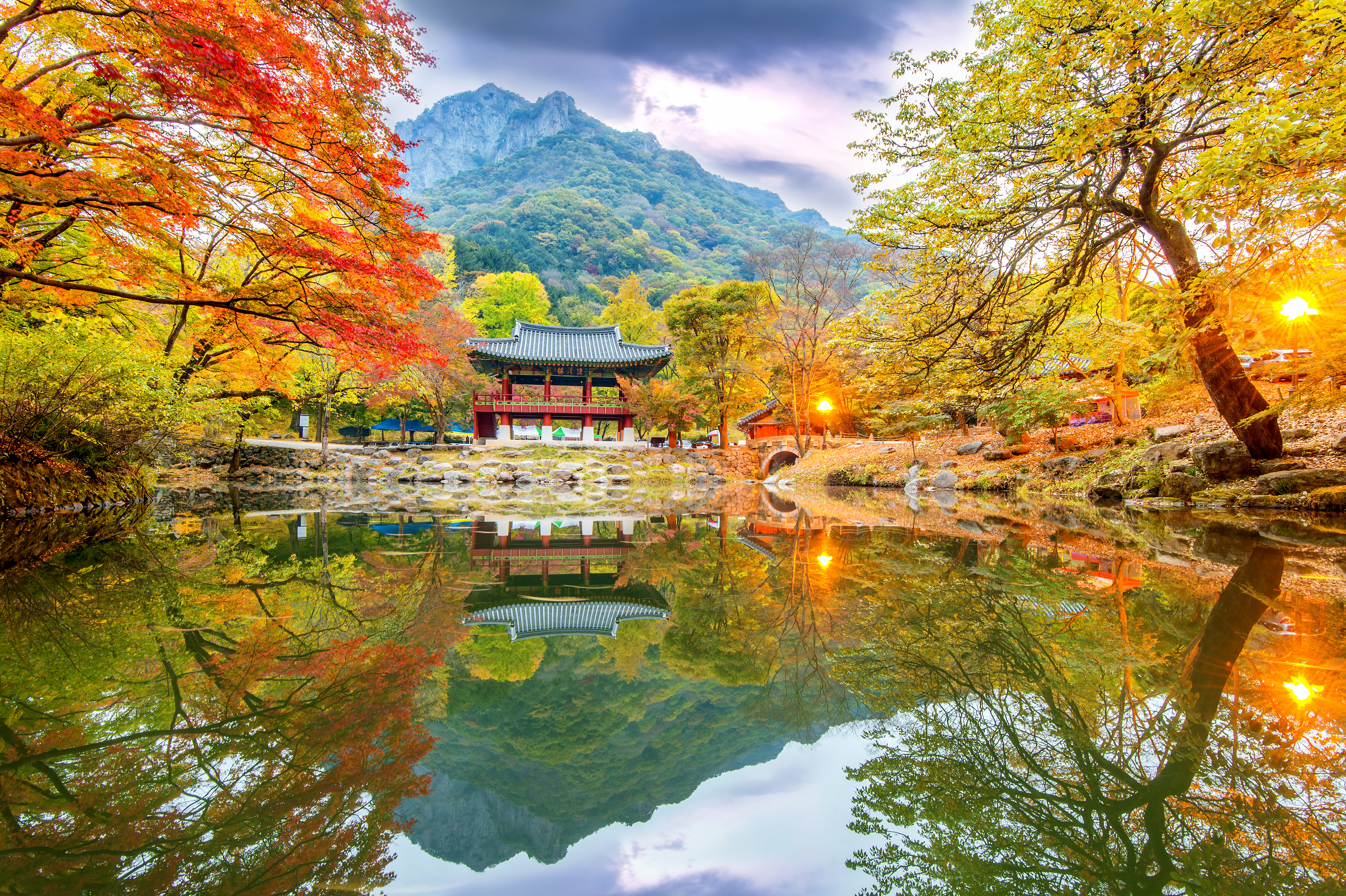 (Autumn) Magnificent Naejangsan National Park Foliage One Day Tour - Depart from Busan