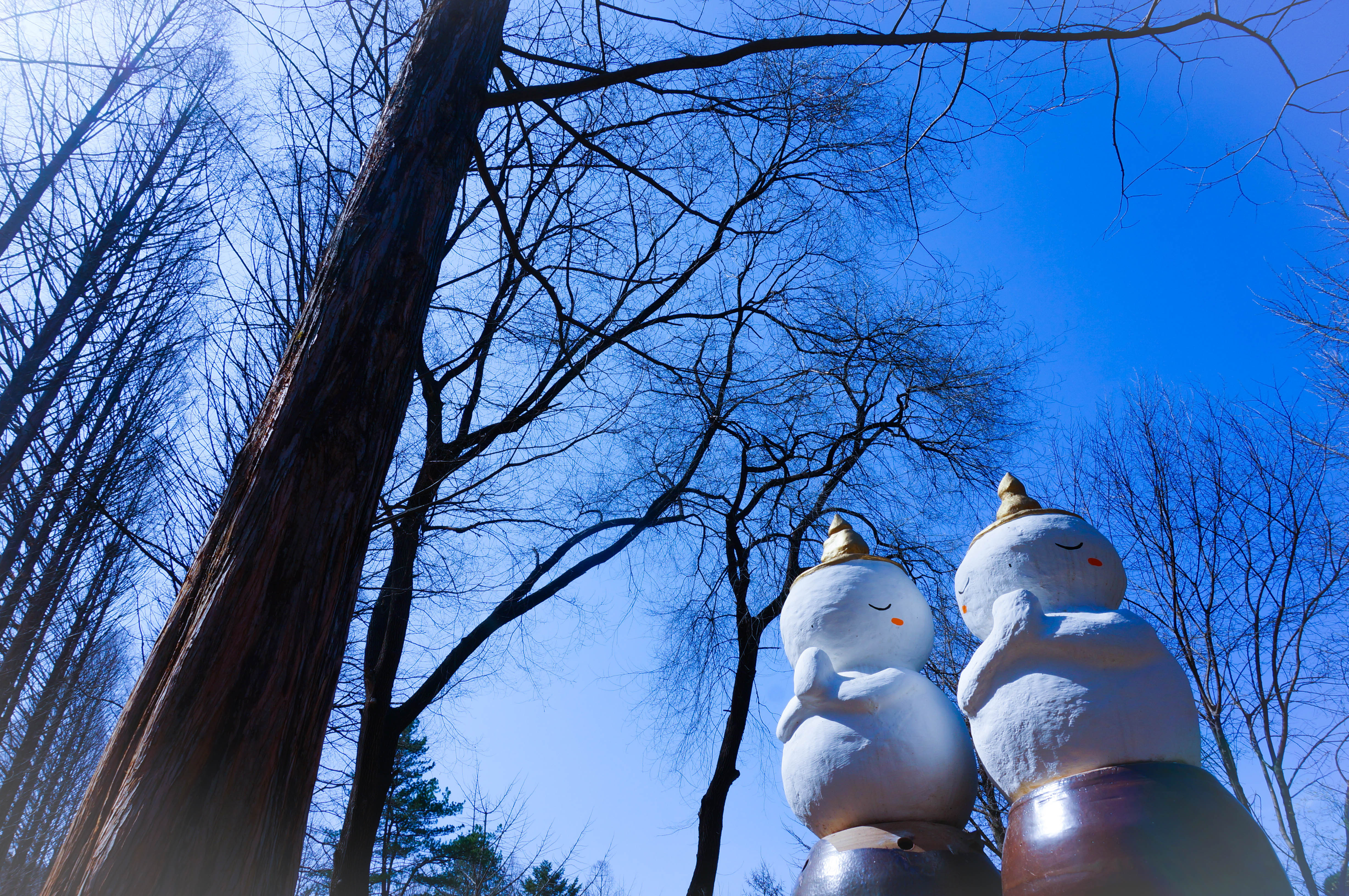 Nami Island + Mount Seorak One Day Tour