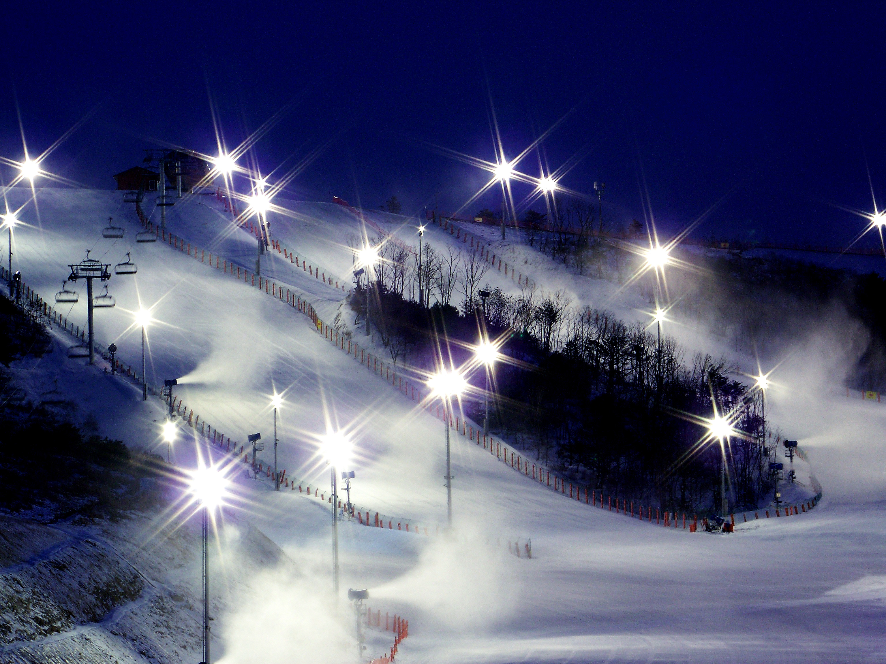 (Winter) Eden Valley Ski Resort Night Ski Tour - Depart from Busan