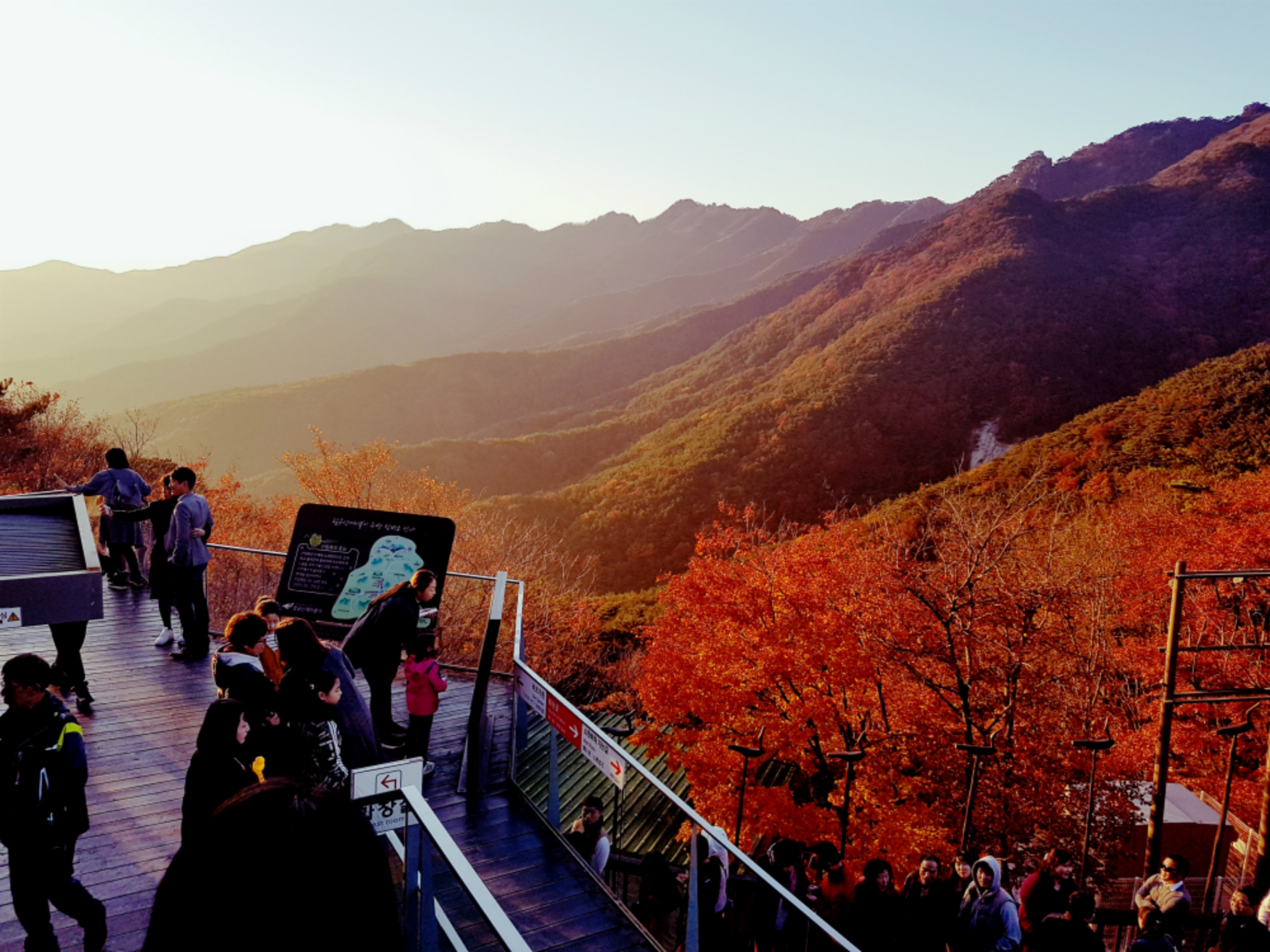 (Autumn) Palgongsan Natural Park Foliage One Day Tour