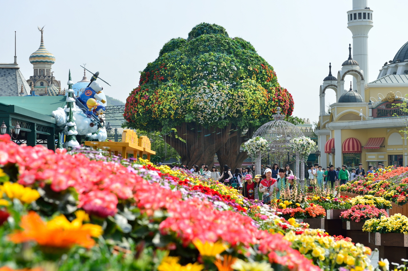 Everland One Day Tour